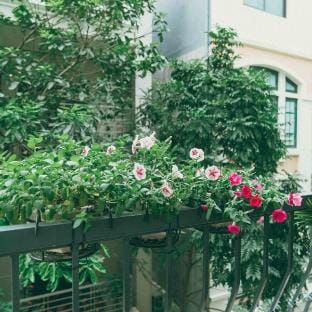 Wabi Sabi Hanoi Residences #301 Vacation rental in Hanoi