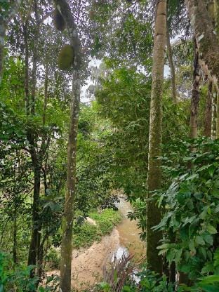 Full home in Wayanad.  Bathery. Vacation rental in Kerala