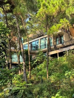 Bay 'B1 - House in the forest Vacation rental in Laos