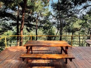 Bird House Nest Vacation rental in Laos