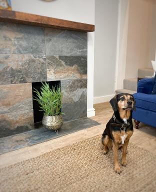 Cosy Rural Escape Worcestershire Vacation rental in Malvern Hills District