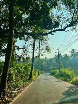 Cozy studio apt in Calangute Vacation rental in Calangute