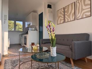 Cozy duplex in the city center/HEC & Tecomah Vacation rental in Île-de-France