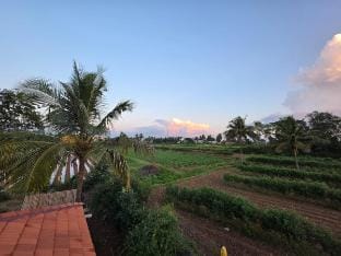 Namma Hatti, Traditional Farm stay  Vacation rental in Kerala