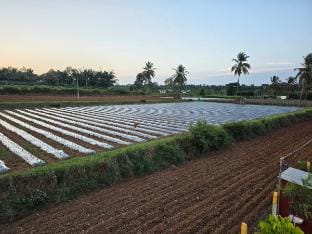 Namma Hatti, Traditional Farm stay  Vacation rental in Kerala