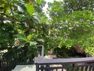 THE YARD HOMESTAY Vacation rental in Phu Quoc