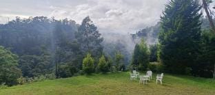 White Fern, Jungle View Stay Vacation rental in Kerala