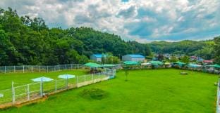 Dogrock Aegyeon Pension Bed and Breakfast in South Korea
