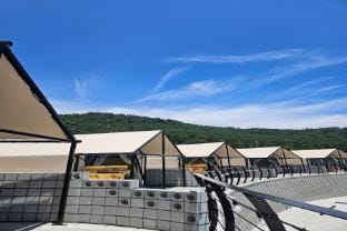 Ttangkkeut Sweet Potato Glamping Bed and Breakfast in South Korea