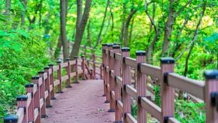 Dewel Pension Bed and Breakfast in South Korea