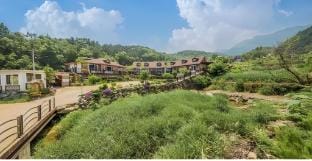 Dream Star Pension Bed and Breakfast in South Korea