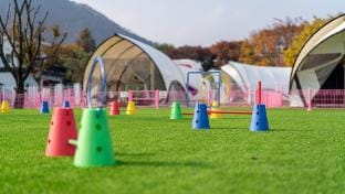 Hot Dog 342 Bed and Breakfast in Gyeonggi-do