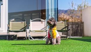 Riposo Pool Villa Bed and Breakfast in South Korea