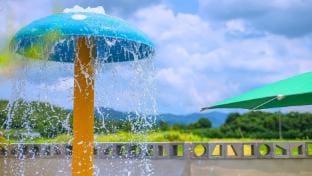 Momo Pool Villa Bed and Breakfast in South Korea