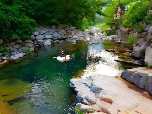 Bandi Pension Bed and Breakfast in South Korea