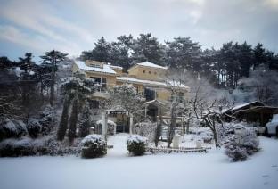 Yeongreen Pension Bed and Breakfast in South Korea