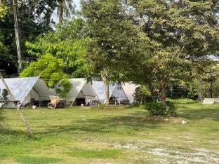 24Camping Luxury tent in Chon Buri Changwat