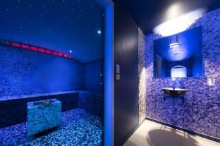Room in a Villa + 2 hours of Private Spa Villa in Île-de-France