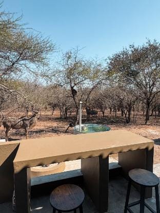 Dung Beetle Bush Villa Villa in South Africa