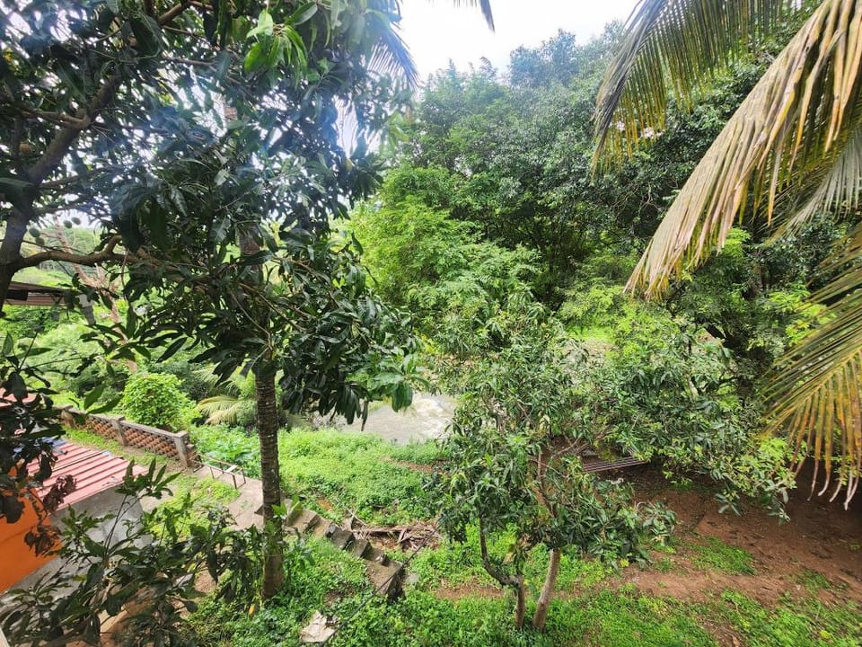 Siruvani River Retreat Hotel in Kerala
