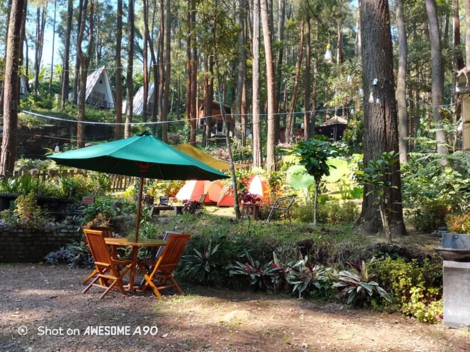 The Nest Park Hotel in East Java