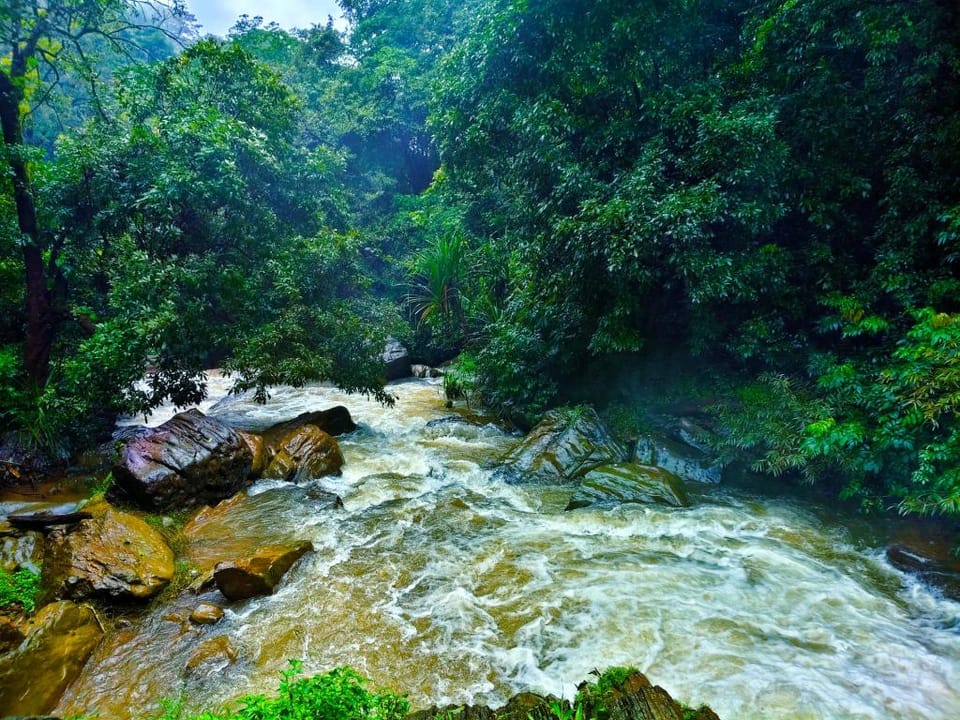 Elysian Hill Retreat Hotel in Kerala