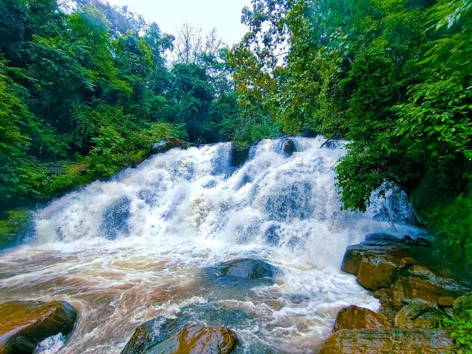 Elysian Hill Retreat Hotel in Kerala