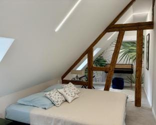 Appart Saint Jo Apartment in Colmar
