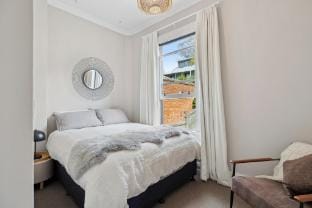 Villa on Rattray Vacation rental in Dunedin