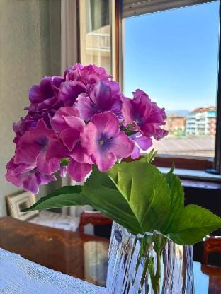 [Chez Louise] free wi-fi + 5 min from InalpiArena Vacation rental in Turin