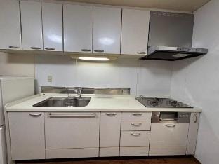 Camellia House, Tokyo, Higashi Ikebukuro station  Vacation rental in Shinjuku