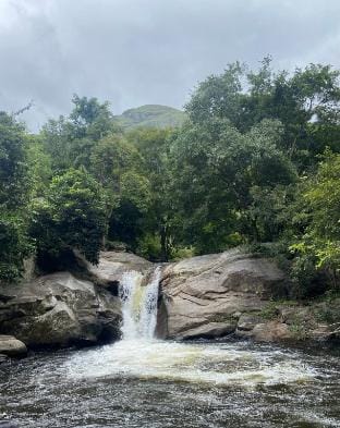 Sara's HomeStay - Munnar/ Kerala Vacation rental in Munnar