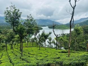 Sara's HomeStay - Munnar/ Kerala Vacation rental in Munnar