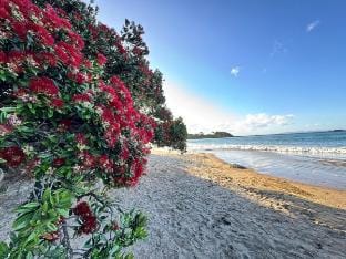 Breathtaking Bay Views | Walk to Coopers Beach Vacation rental in Northland