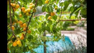 Kleo Cottages 6 Vacation rental in Muğla Province