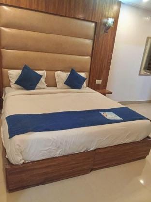 Noratan Palace Near Delhi Airport Vacation rental in New Delhi