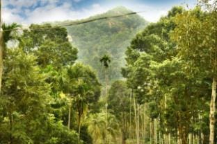 NISHA RESIDENCY Vacation rental in Kerala
