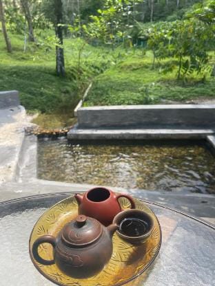 The Secret Mountain Resorts Farm Stay in Penang
