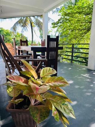 The Peace HomeStay Vacation rental in Galle