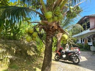 Kiera Homestay | 3 minutes to the beach Vacation rental in General Luna