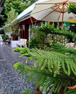 Rin's Land Bakery and Home Stay  Vacation rental in Laos