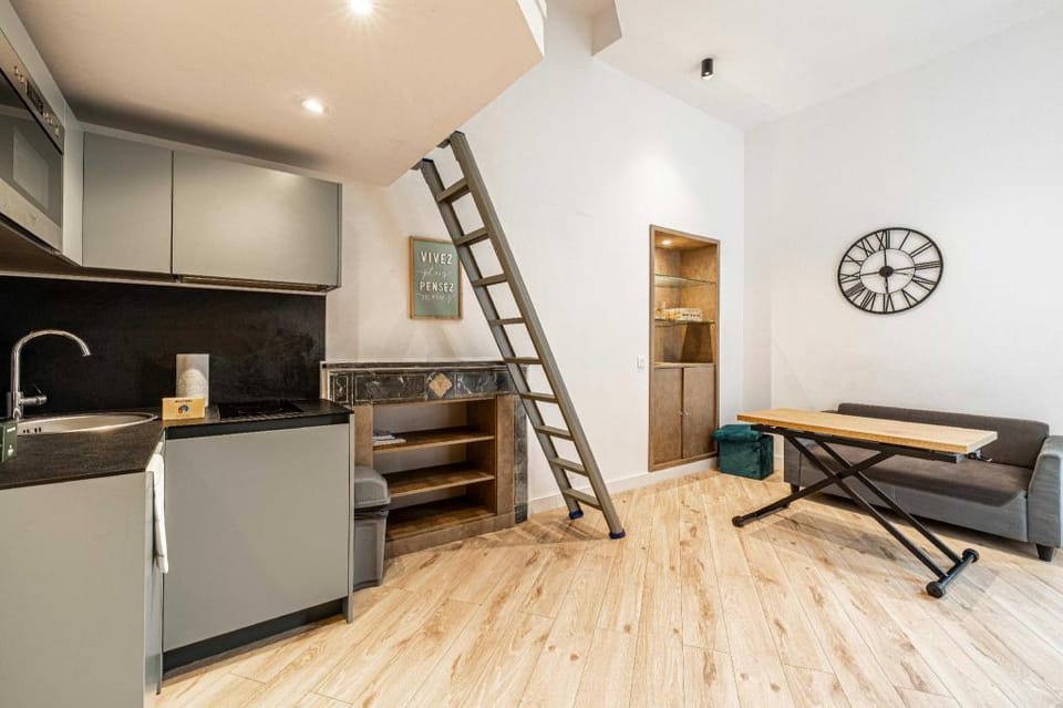 a/c mezzanine Apt 1BR/2P - Place Garibaldi Apartment in Nice