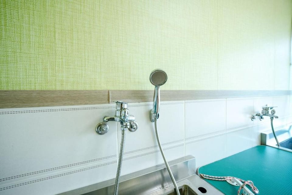 Taean Low Stack Pet Pension Bed and Breakfast in South Korea