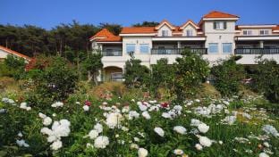 Taean Janggong Pension Bed and Breakfast in South Korea