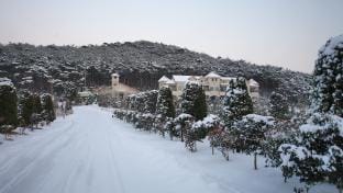 Taean Janggong Pension Bed and Breakfast in South Korea