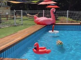 Seosan Pet &amp;amp;amp;amp;amp;amp;amp;amp;amp;amp; Tree Dog Glamping (Individual Barbecue) Bed and Breakfast in South Korea