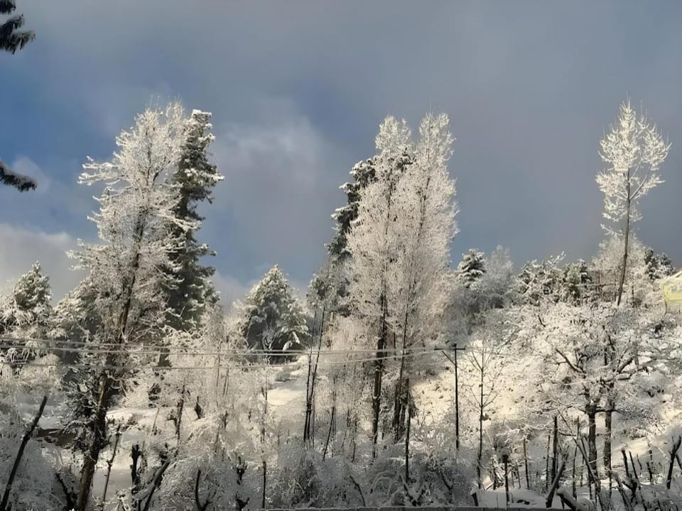 The Riverside Lodge Gulmarg Jammu and Kashmir Hotel in India