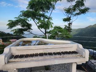nhà xương rồng 3-mimosa Apartment in Laos
