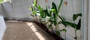 Little Home Appartment 1 Apartment in Kerala