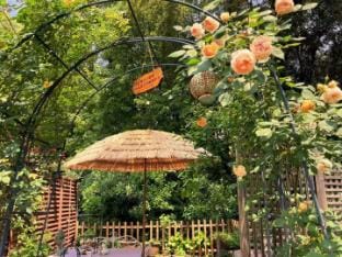 Meet Yourself Village Lodge-上饶古窑民居 Country House in China